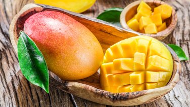 Free Shipping! 1 mango tree seed - delicious fruit! Palmer type Fresh bio seeds From Portugal!