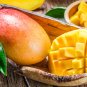 Free Shipping! 1 mango tree seed - delicious fruit! Palmer type Fresh bio seeds From Portugal!