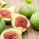 Free Shipping!! 5 Honey Fig cuttings!Plant your figs !!Delicious fruit! Very easy to plant!!