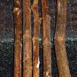 Free Shipping!! 5 Honey Fig cuttings!Plant your figs !!Delicious fruit! Very easy to plant!!