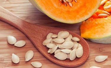 Free Shipping!15 pumpkin tree seeds! delicious vegetable!! Fresh bio seeds From Portugal