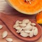 Free Shipping!15 pumpkin tree seeds! delicious vegetable!! Fresh bio seeds From Portugal