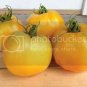 Tomato Jubilee Yellowpring Vegetable Plant TWO 2plants 4inPot Live Plant NN7 gro