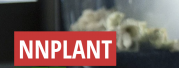 nnplantstoreaa