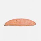 25+ Banana Squash Seeds for Garden Planting