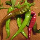 25 SEEDS Italian Long Hots Pepper Garden Vegetables Planting Edible Food