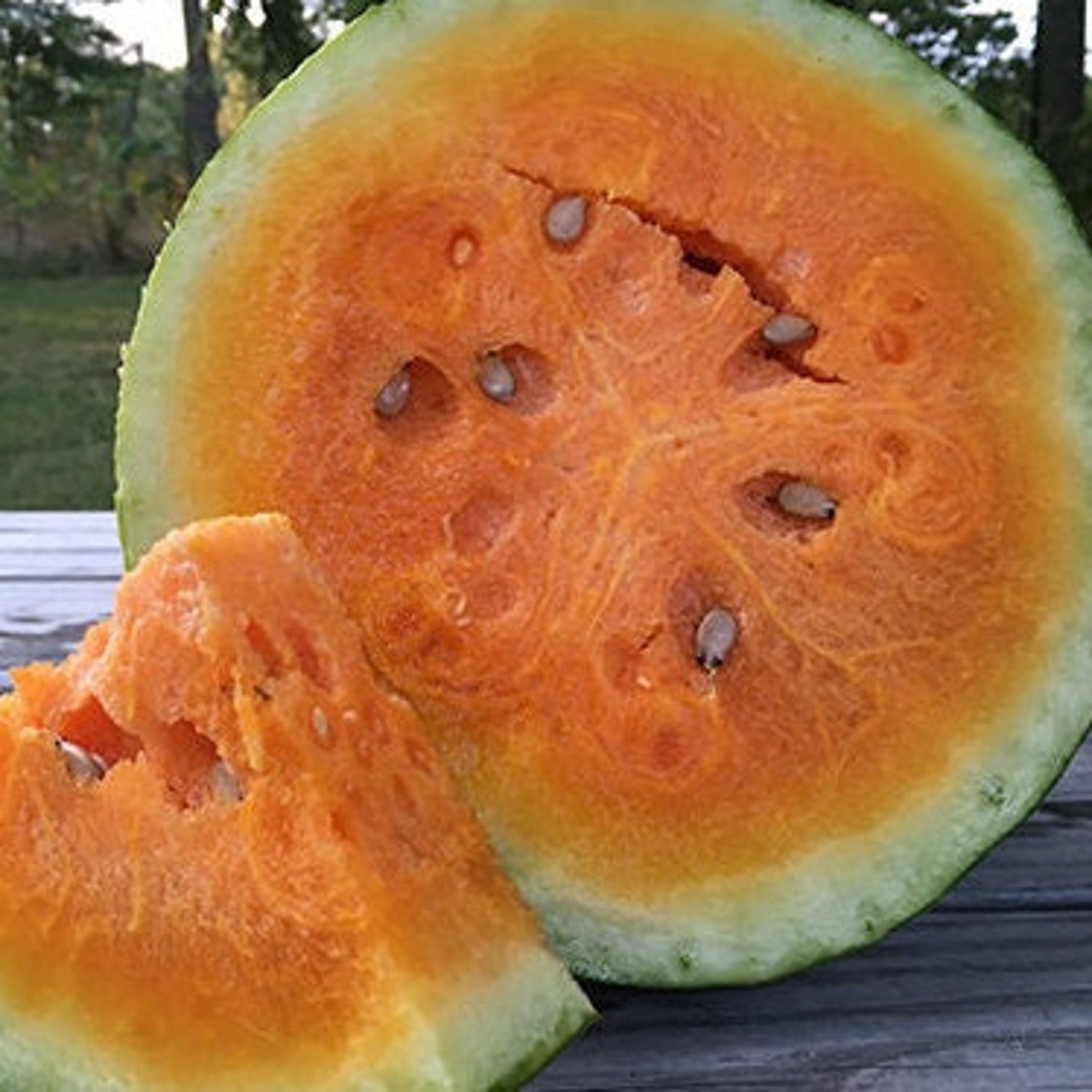 20 Orangeglo Watermelon Seeds