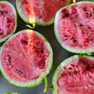 10 Sweet Dakota Rose Watermelon Seeds