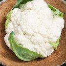 500Self Blanching Cauliflower Seed