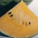 10 Orange Orchid Watermelon Seeds