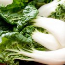 100Extra Dwarf Pak Choi Seeds