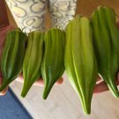 50 Giant Okra Beck'S Big Buck Seeds Organic