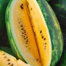 20 Mountain Sweet Watermelon Seeds