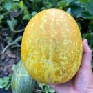 Organic 20 Thai Melon Seeds