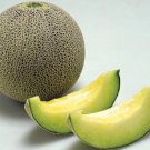 50 Japanese Melon Ichiba Kouji Seeds Organic