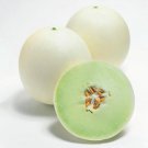 50 Honey Comb Melon Seeds Organic