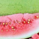 20 Cherry Grande Watermelon Seeds
