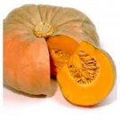 50 Thai Pumpkin Seeds Organic