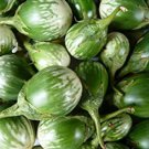 100 Thai Eggplant Petch Siam Seeds