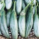 25 Thai Green Rugby Eggplant Seeds