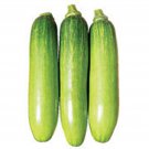 20 Korean Summer Squash Meot Jaeng I Ae Seeds