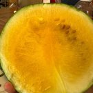 Organic 10 Leelanau Sweetglo Watermelon Seeds