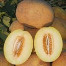 10 Ukraine Melon Karamel Seeds