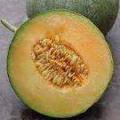 50 Charentais Melon Seeds