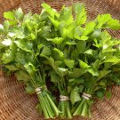 1000 Chinese Celery Light Green Seeds