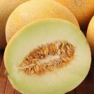 10 Zolotistaya Melon Seeds