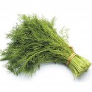 200Herb Dill Seeds