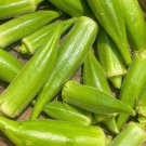 25 Gold Coast Okra Seeds