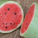 20 Bozeman Watermelon Seeds