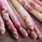 20 France Asparagus Argenteuil