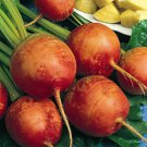 500 Golden Detroit Beet