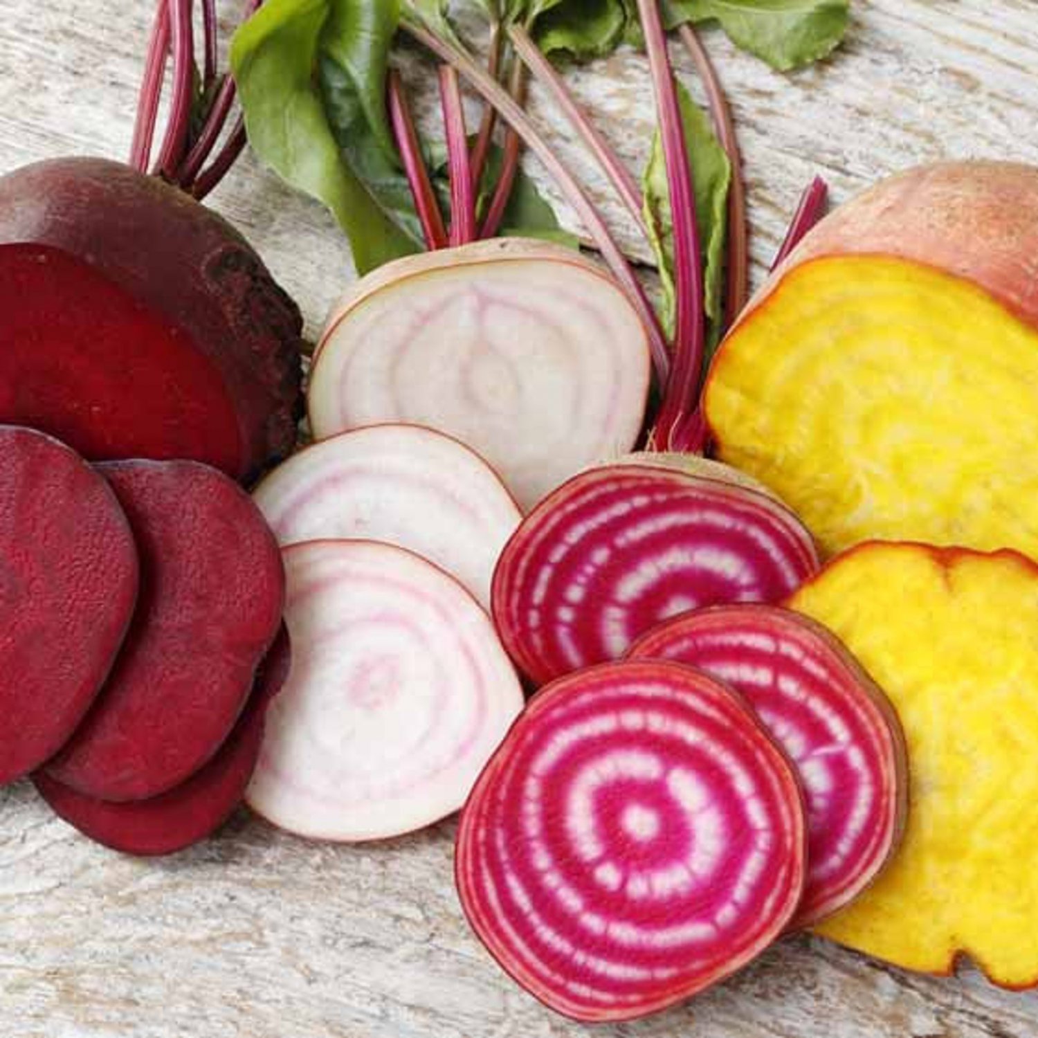 500 Rainbow Beet