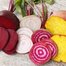 500 Rainbow Beet