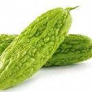 Momordica Charantia Bitter Melon Balsam Pear 5 Seeds