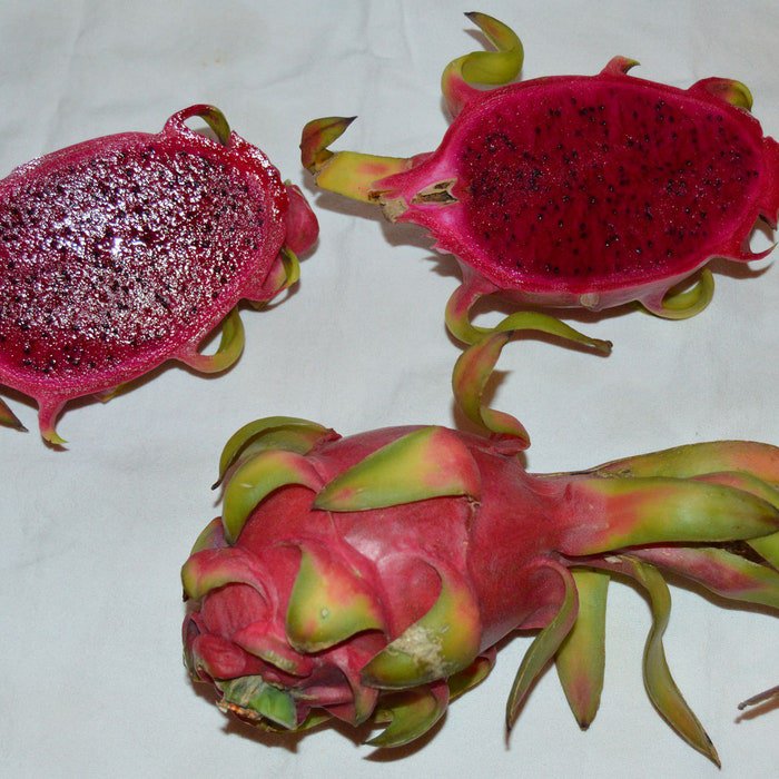 Hylocereus Costaricensis Polyrhizus Dragon Fruit Pitajaya 20 Seeds