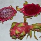 Hylocereus Costaricensis Polyrhizus Dragon Fruit Pitajaya 20 Seeds