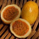 Passiflora Edulis Flavicarpa Yellow Passionfruit 20 Seeds