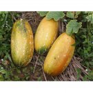 Mai Thong Melon Seed Thai Melon Seed