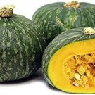 Kobocha Squash Seed Japanese Pumpkin