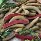Siam Ruby Sour Tamarind Seed 10 Seeds