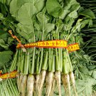 Korean Young Summer Radish Seed Yeolmu Seed