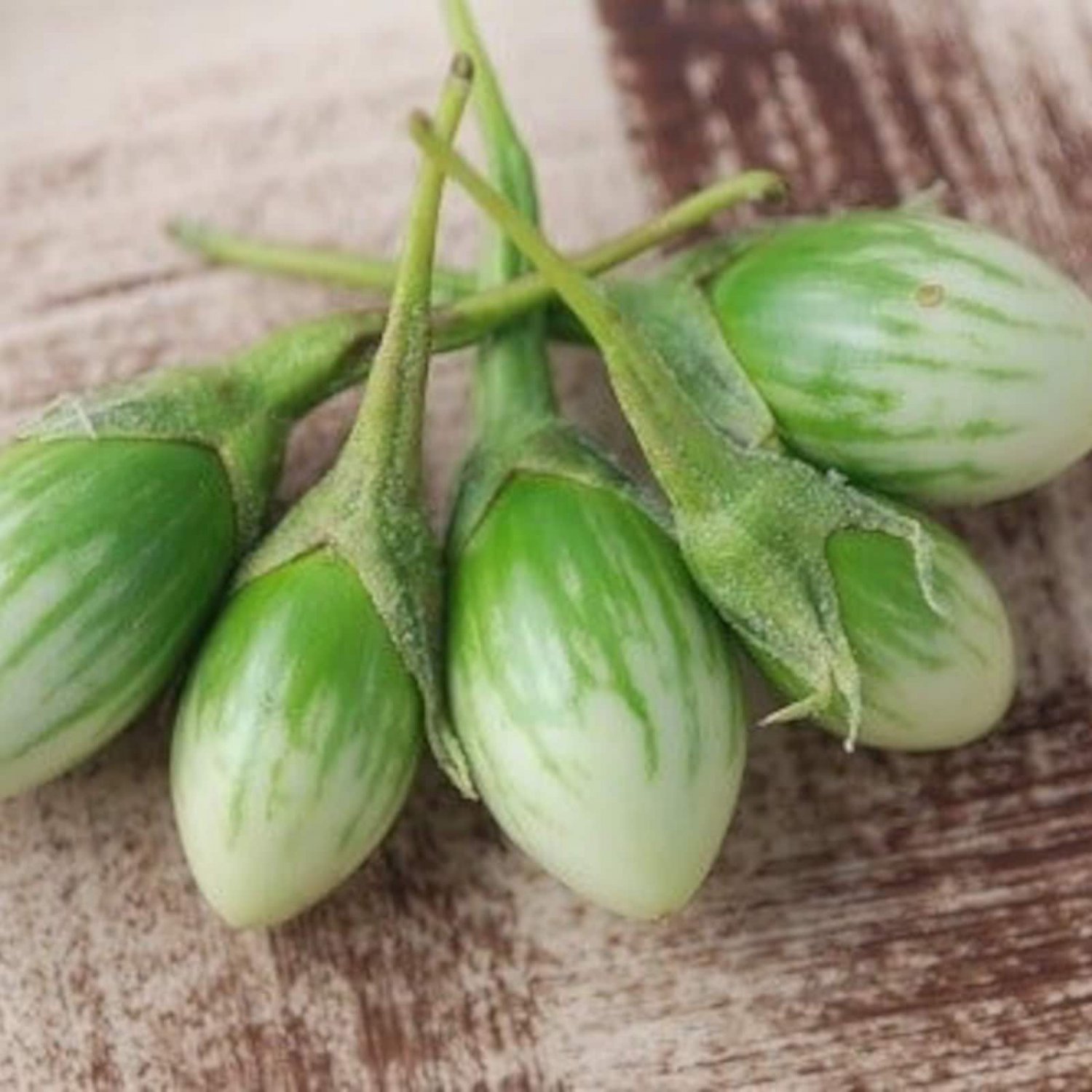 Thai Green Garden Egg Eggplant Seed