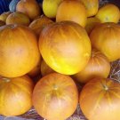 Thai Round Melon Seed Strain Maithai