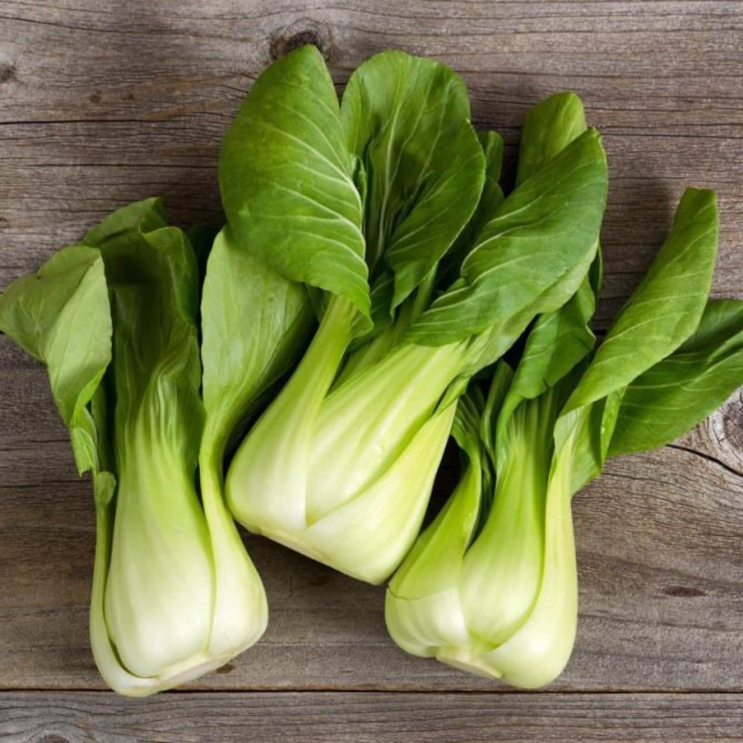 Baby Bok Choy Seed Shanghai Pak Choi Seed