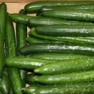 Japanese Long Cucumber Seed