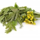 Senna Siamea Seed Siamese Cassia Seed Kassod Tree Seed Khilek Seed